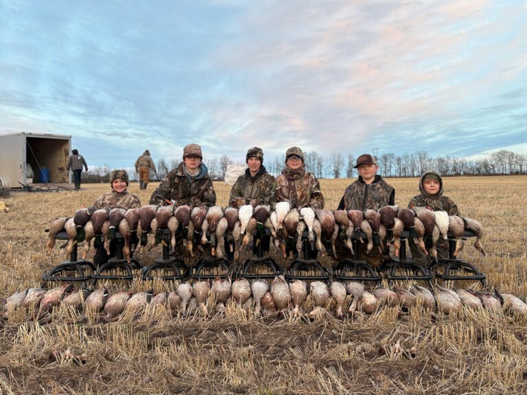 duck hunting alberta canada